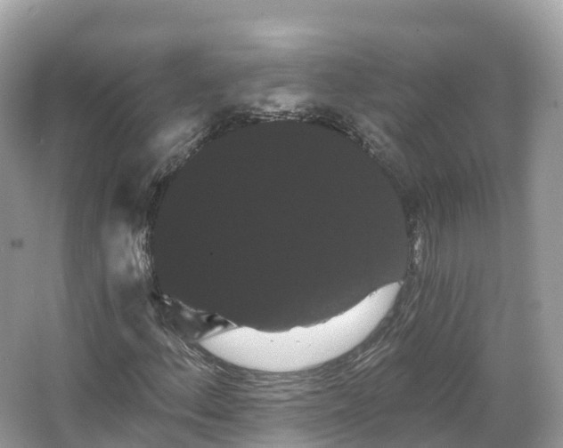 X0000066121156200603131321