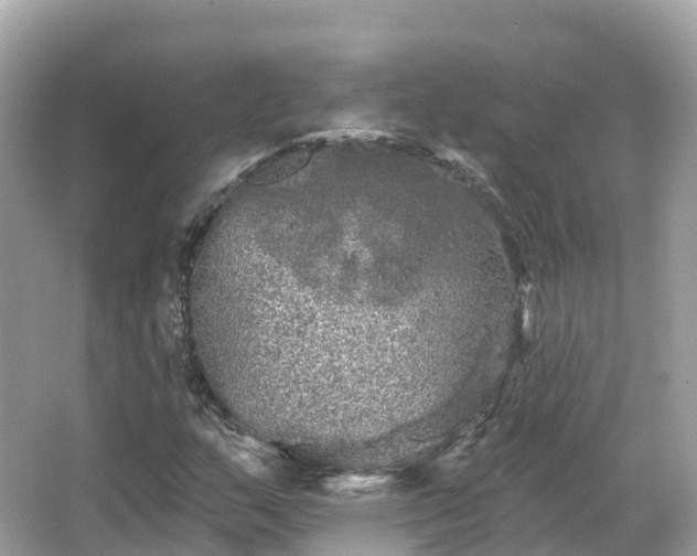 X0000066121159200603131321