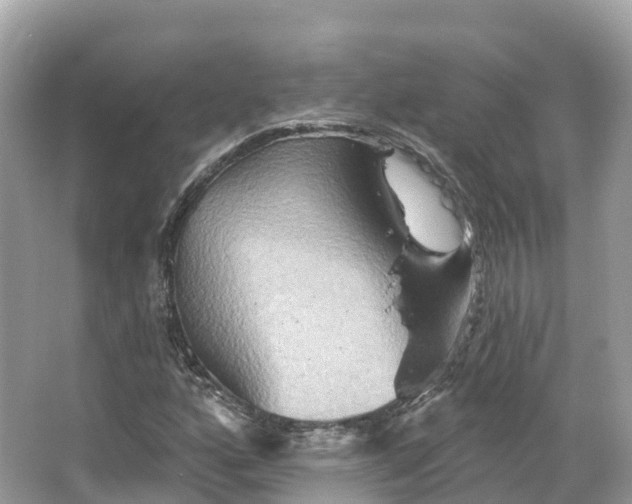 X0000066121160200603131320