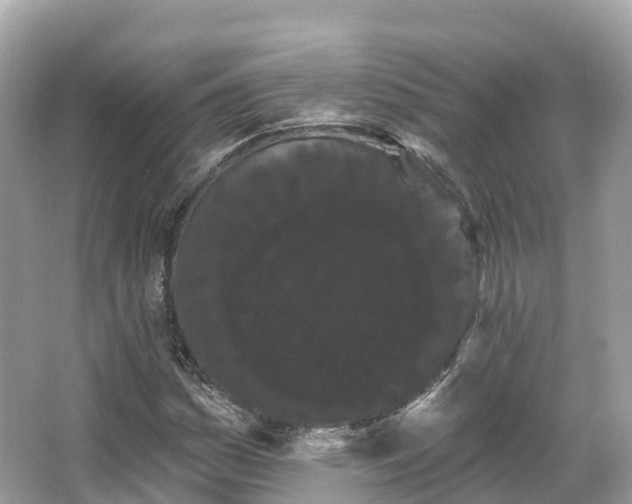 X0000066121161200603131320