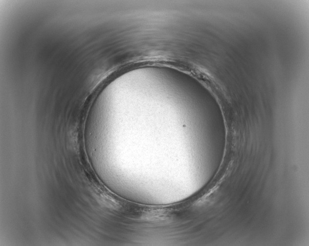 X0000066121162200603131320