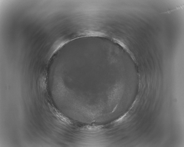 X0000066121163200603131320