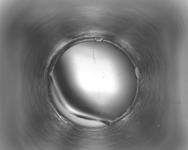 X0000066121164200603131320