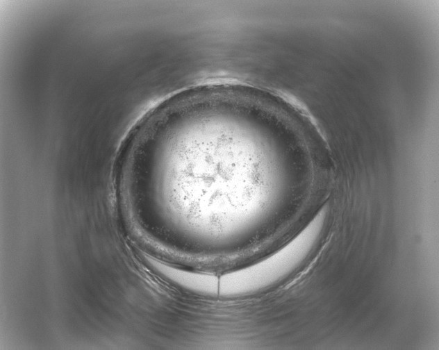 X0000066121167200603131320