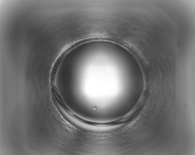 X0000066121168200603131320