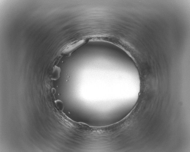 X0000066121169200603131320