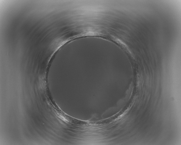 X0000066121170200603131320