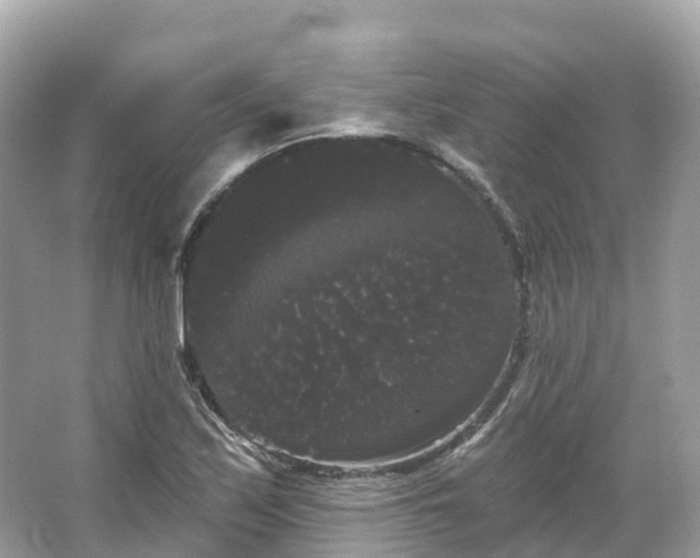 X0000066121171200603131320