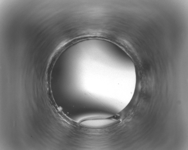 X0000066121172200603131320