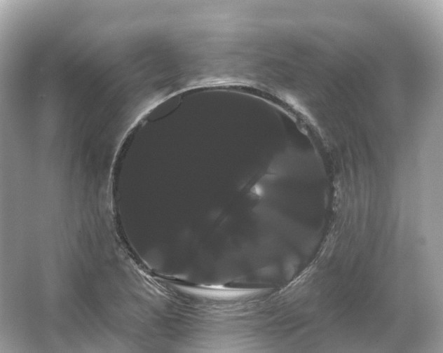 X0000066121173200603131320