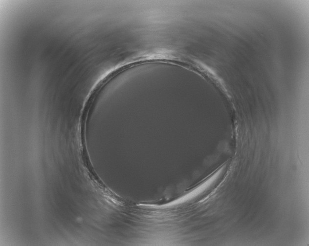 X0000066121174200603131320