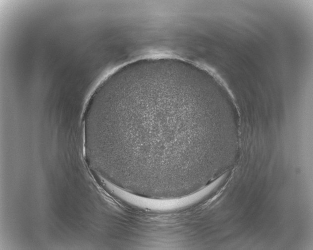 X0000066121175200603131320