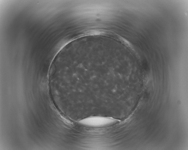 X0000066121178200603131320