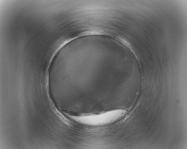 X0000066121179200603131320