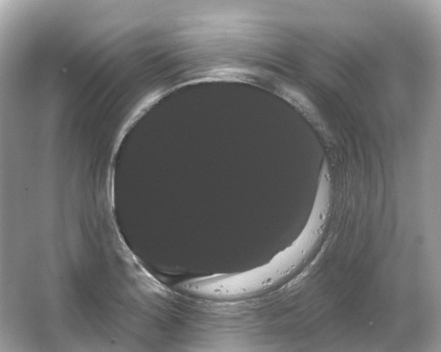 X0000066121180200603131320