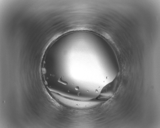 X0000066121181200603131320