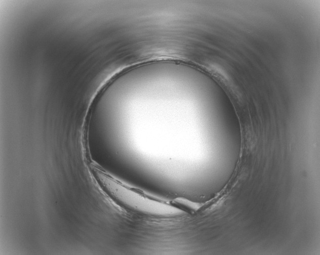 X0000066121182200603131320