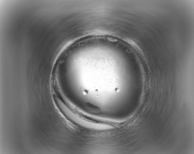 X0000066121183200603131320