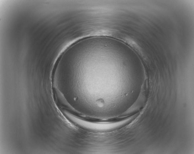 X0000066121184200603131320