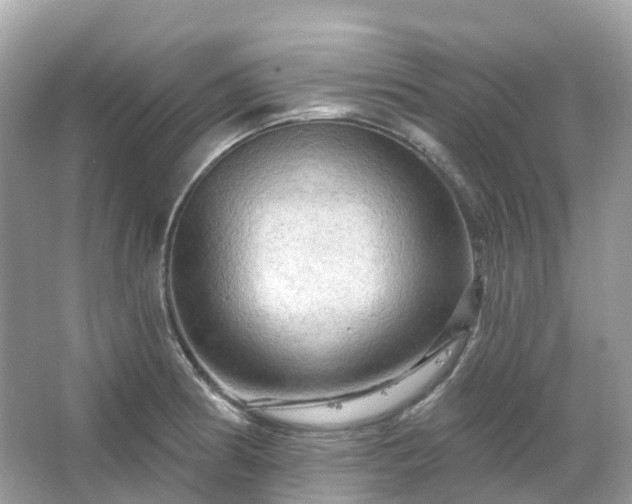 X0000066121186200603131320