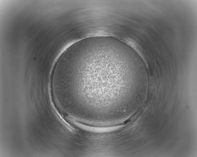 X0000066121187200603131320