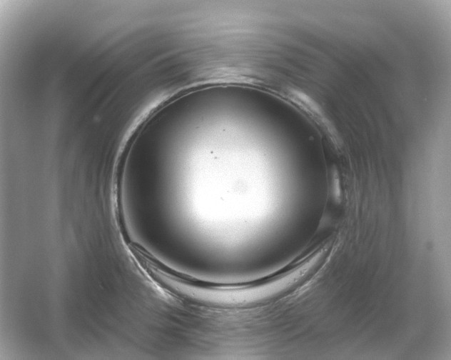 X0000066121188200603131320