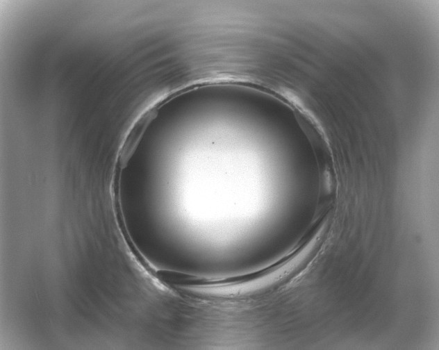 X0000066121189200603131320