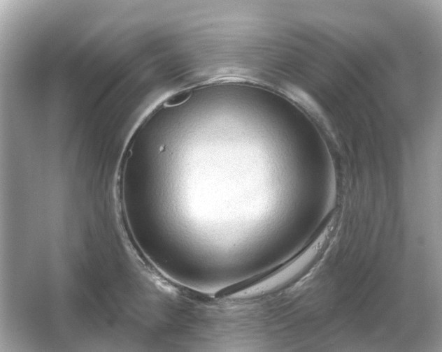 X0000066121190200603131320