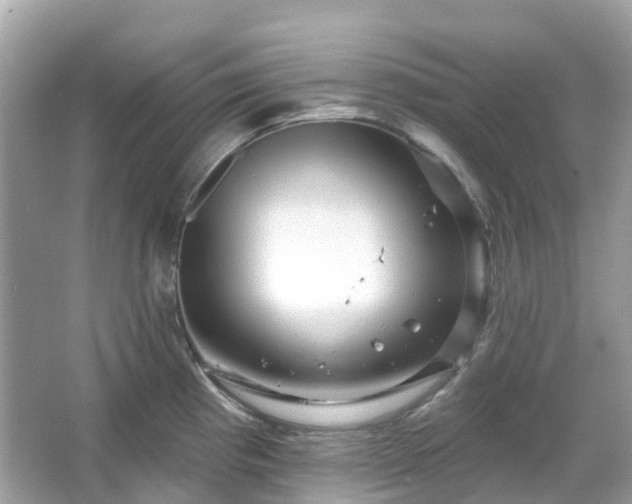 X0000066121193200603131320