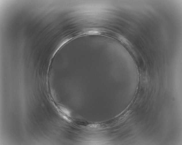 X0000066121194200603131320