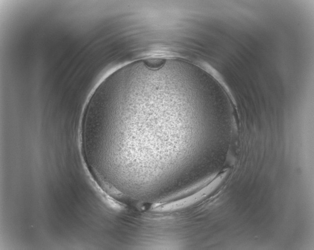 X0000066121195200603131320