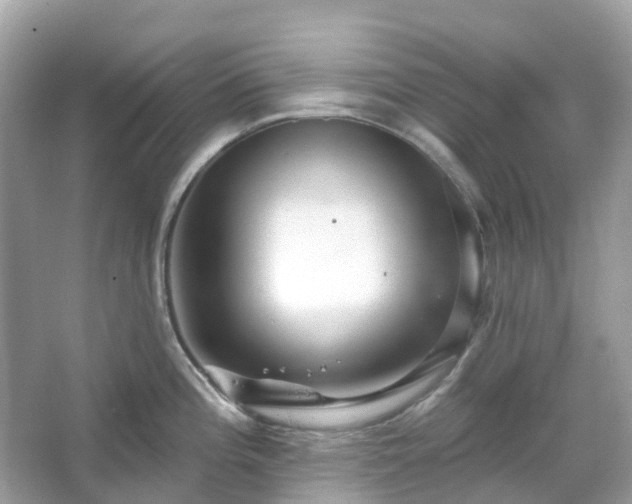 X0000066121196200603131320