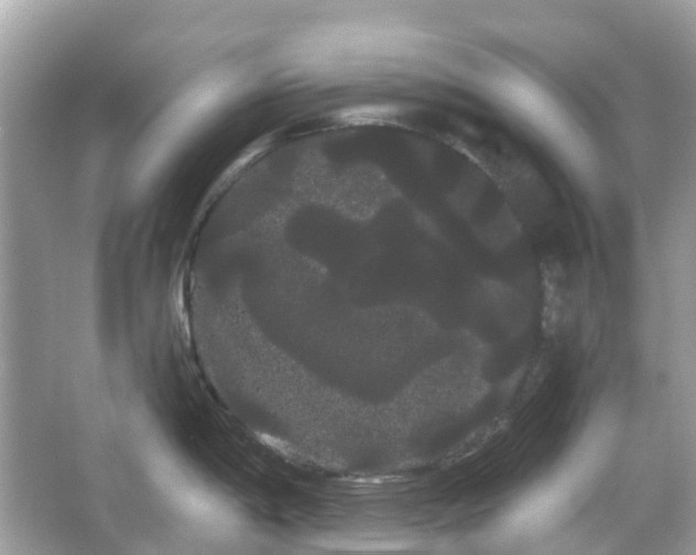 X0000066121198200603131320