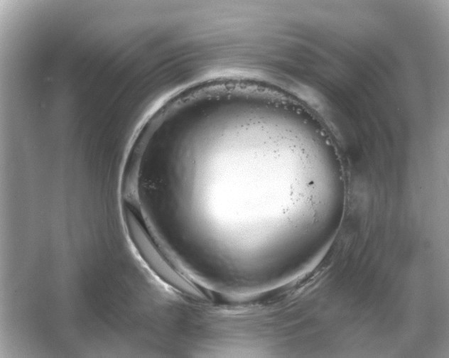 X0000066121199200603131320