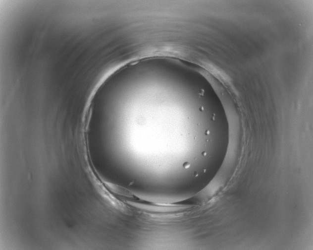 X0000066121200200603131320