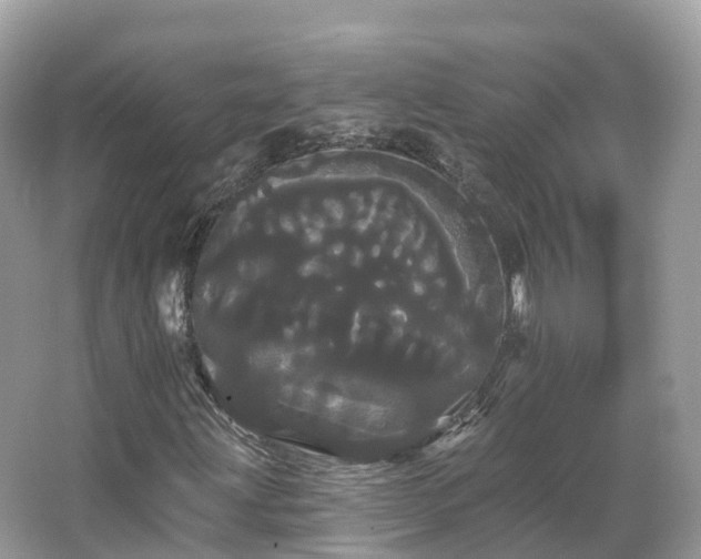 X0000066121203200603131319