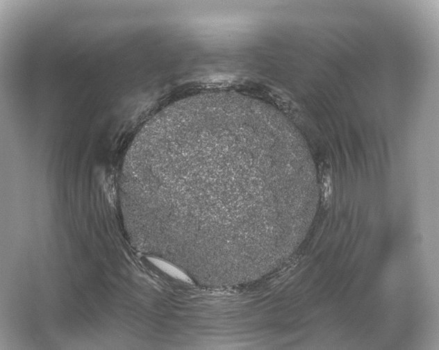 X0000066121204200603131319