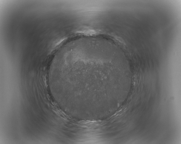 X0000066121205200603131319