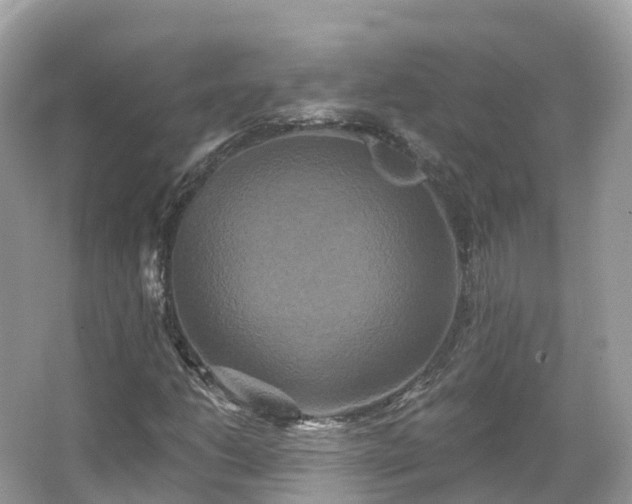 X0000066121206200603131319