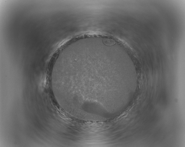 X0000066121207200603131319