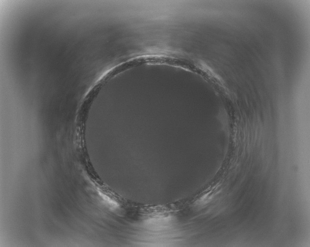 X0000066121208200603131319