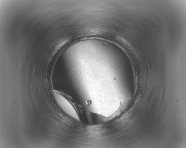 X0000066121210200603131319