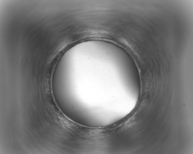 X0000066121211200603131319