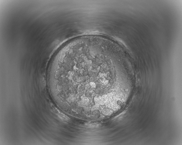 X0000066121212200603131319