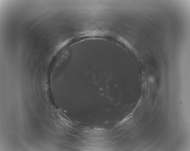 X0000066121213200603131319