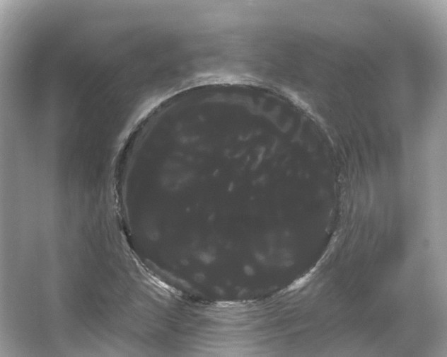 X0000066121215200603131319