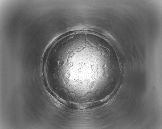 X0000066121216200603131319