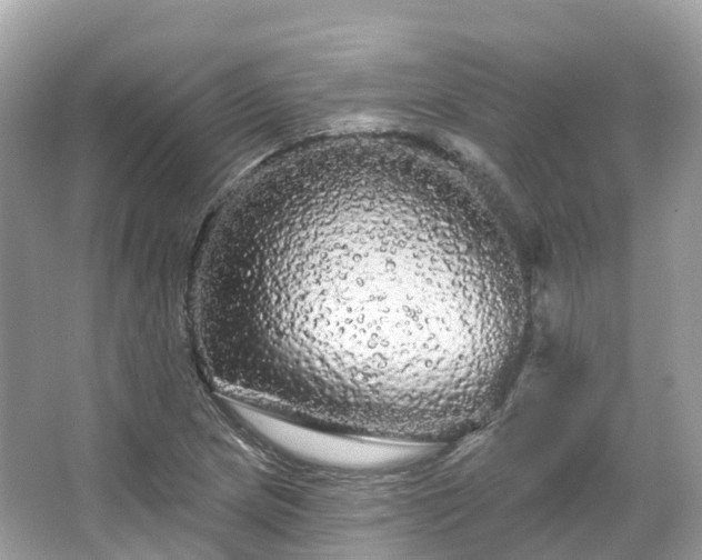 X0000066121217200603131319