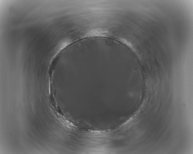 X0000066121219200603131319