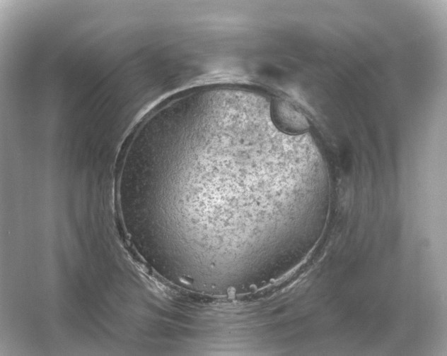 X0000066121220200603131319